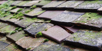 Gatley roof repair costs